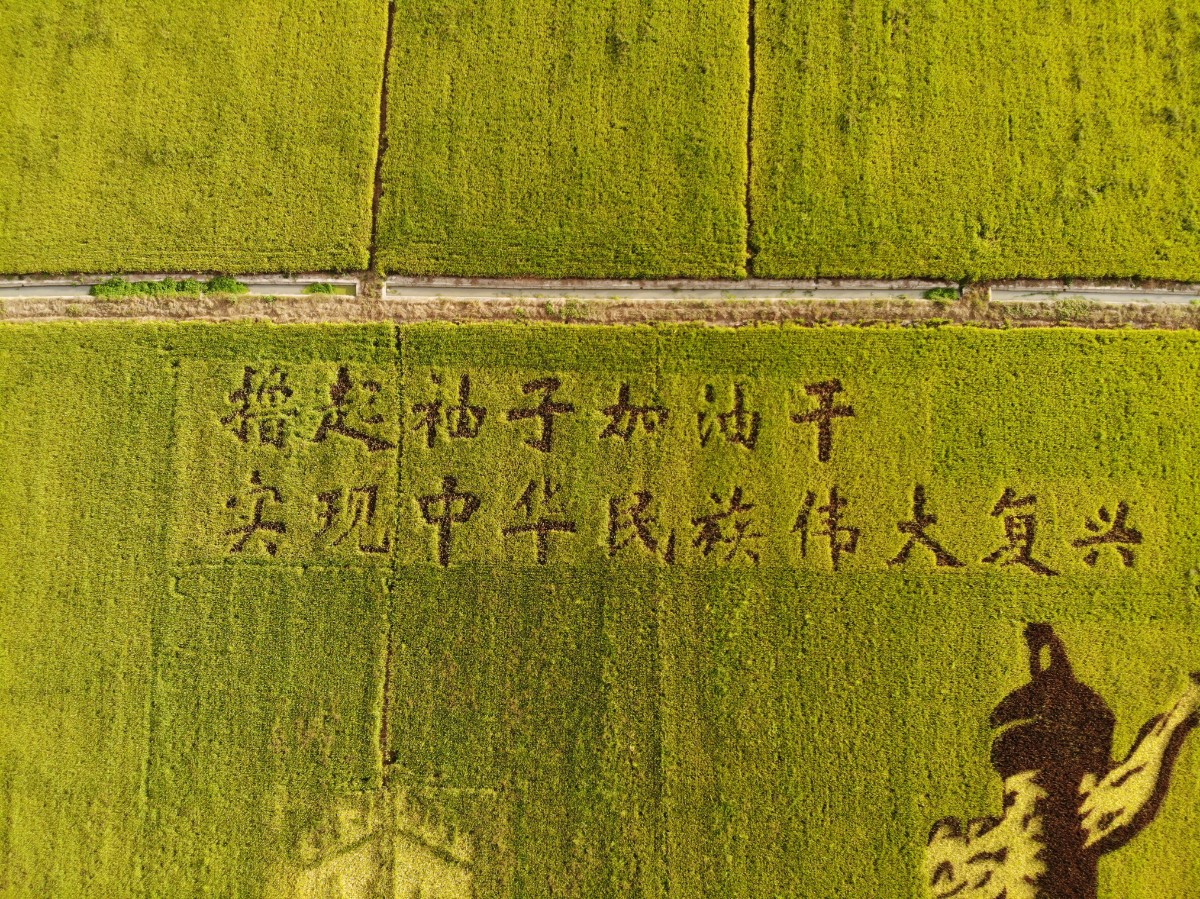 6微信图片_201909041019263.jpg