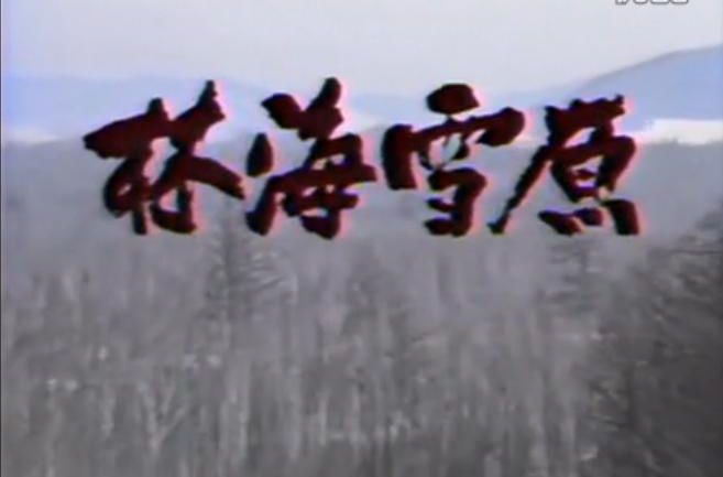 22林海雪原.jpg 22林海雪原.jpg