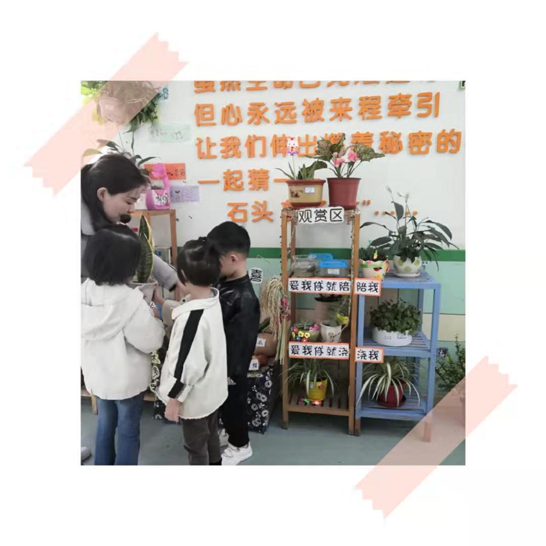 微信图片_20191012162254.jpg