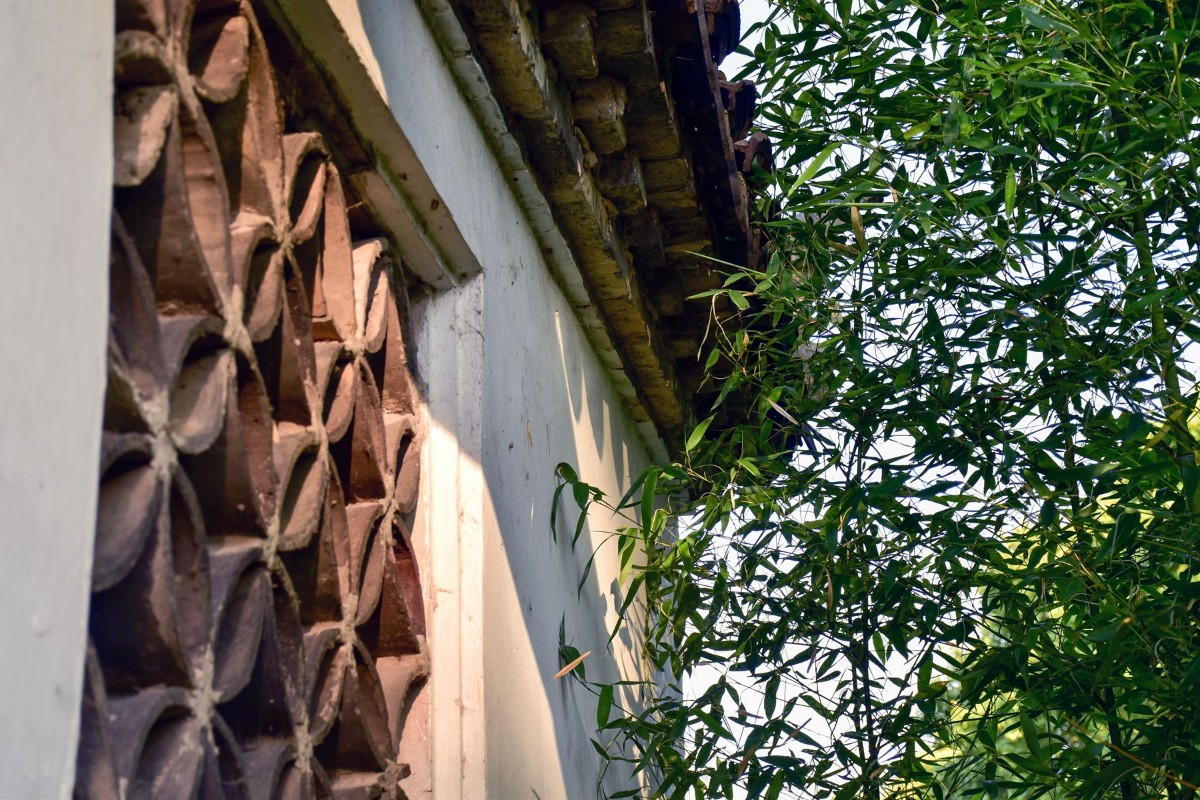 DSC_0329.JPG