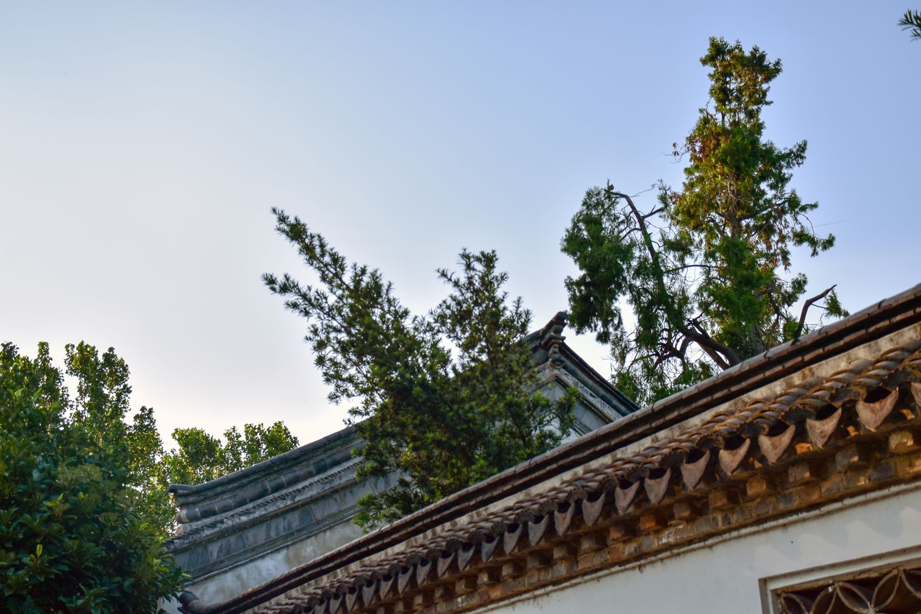 DSC_0330.JPG