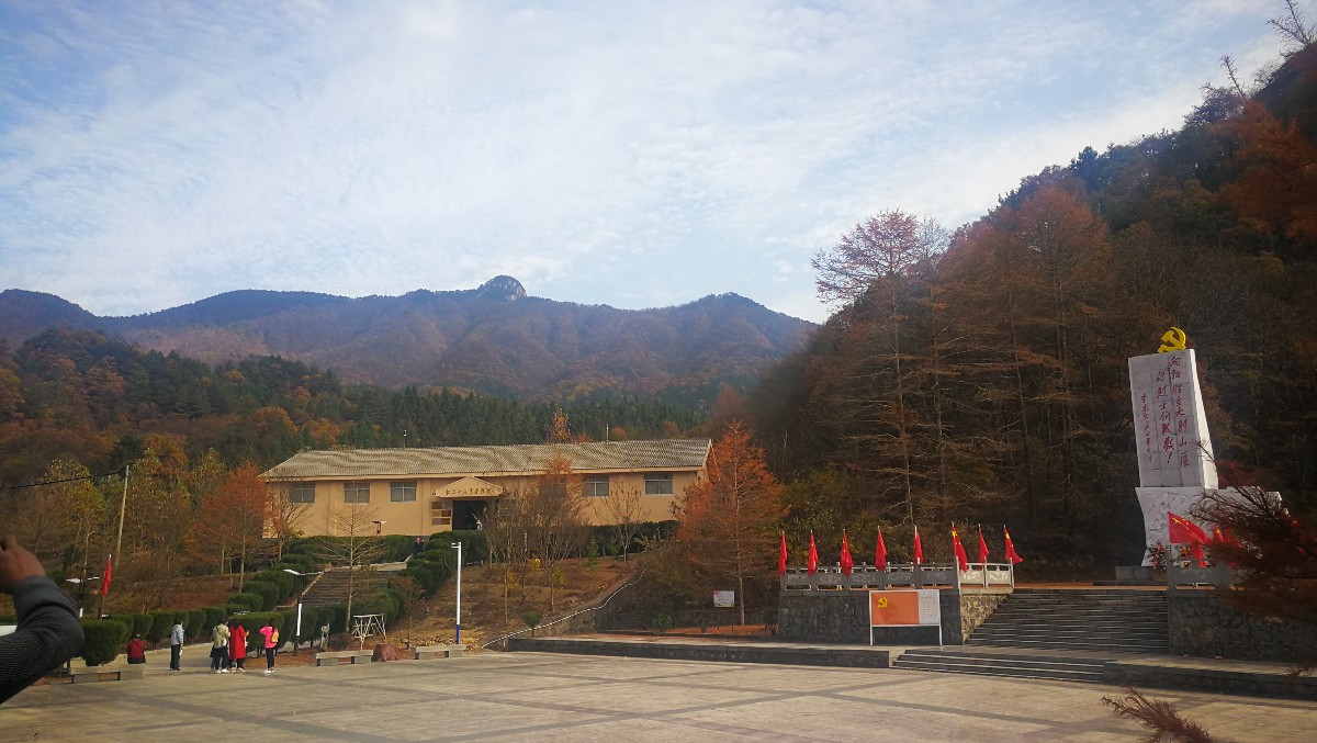 IMG_20191102_145153.jpg