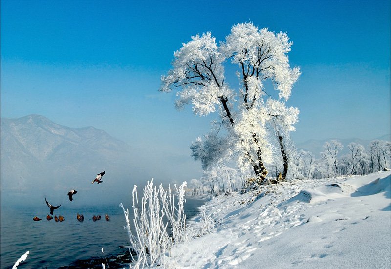 dongyanqiwu-2012317614-001photo.jpg