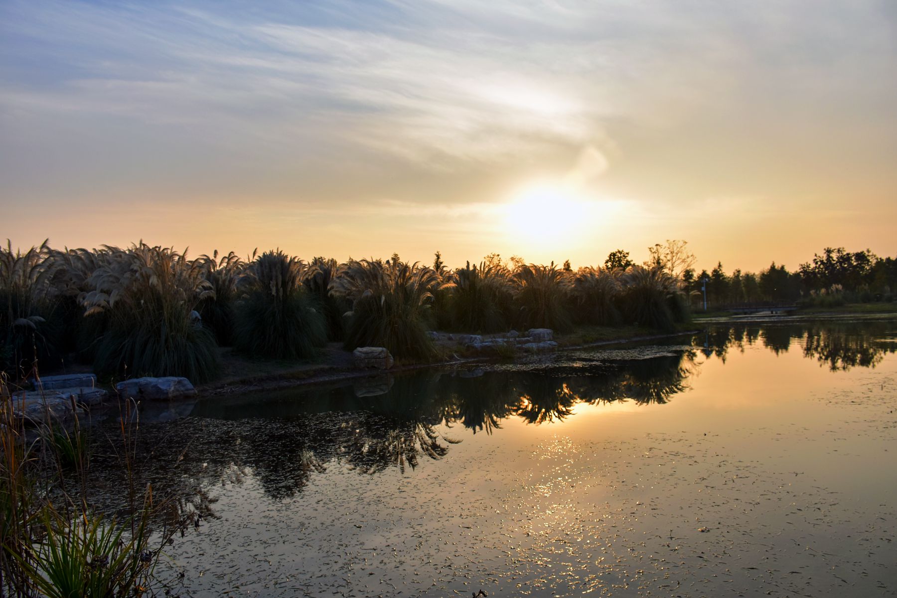 DSC_0365.JPG