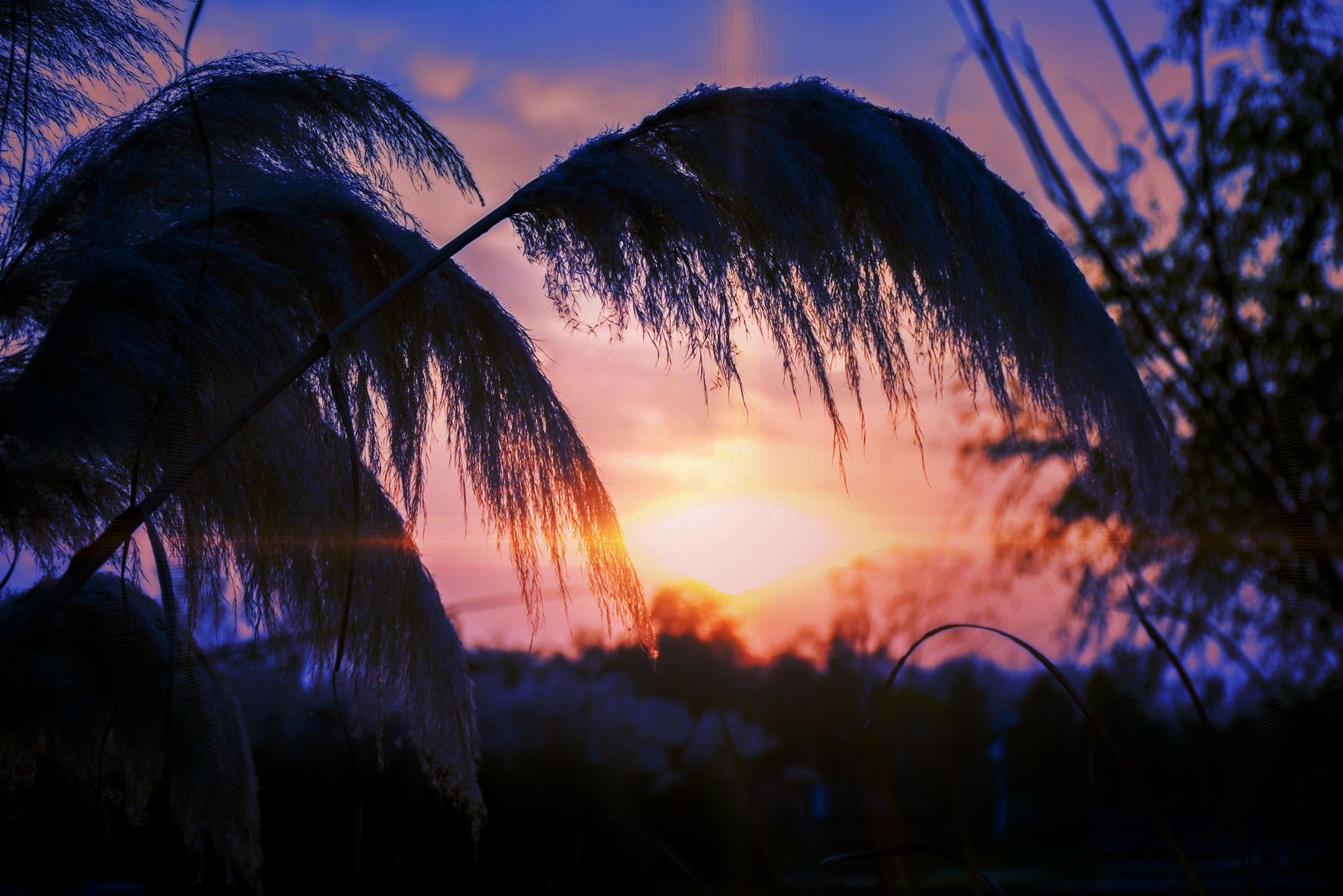 DSC_0388.JPG