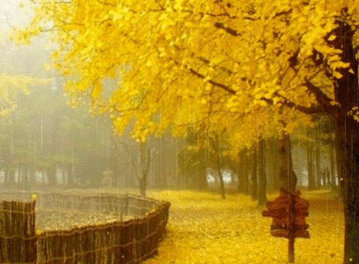 1414411758071211206.gif