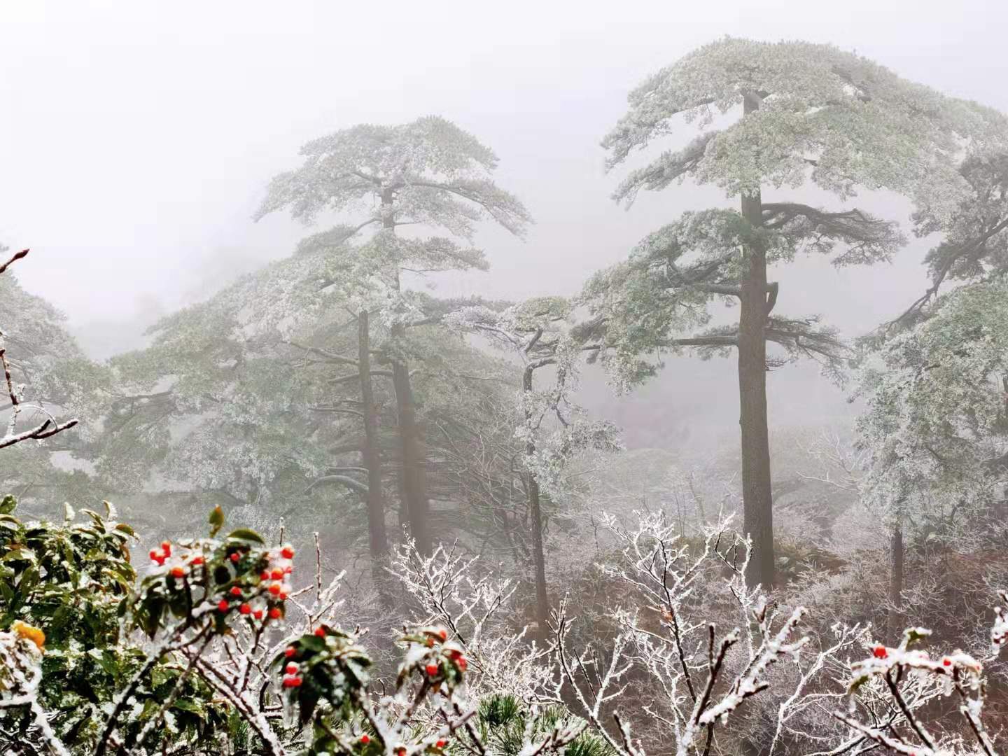微信图片_20191225165311.jpg