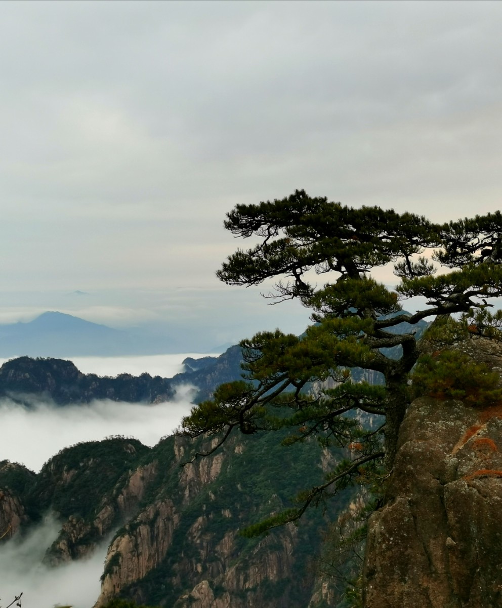 微信图片_20191225165406.jpg
