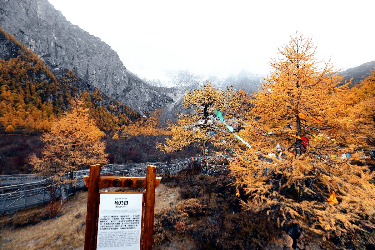 IMG_1719_副本.jpg