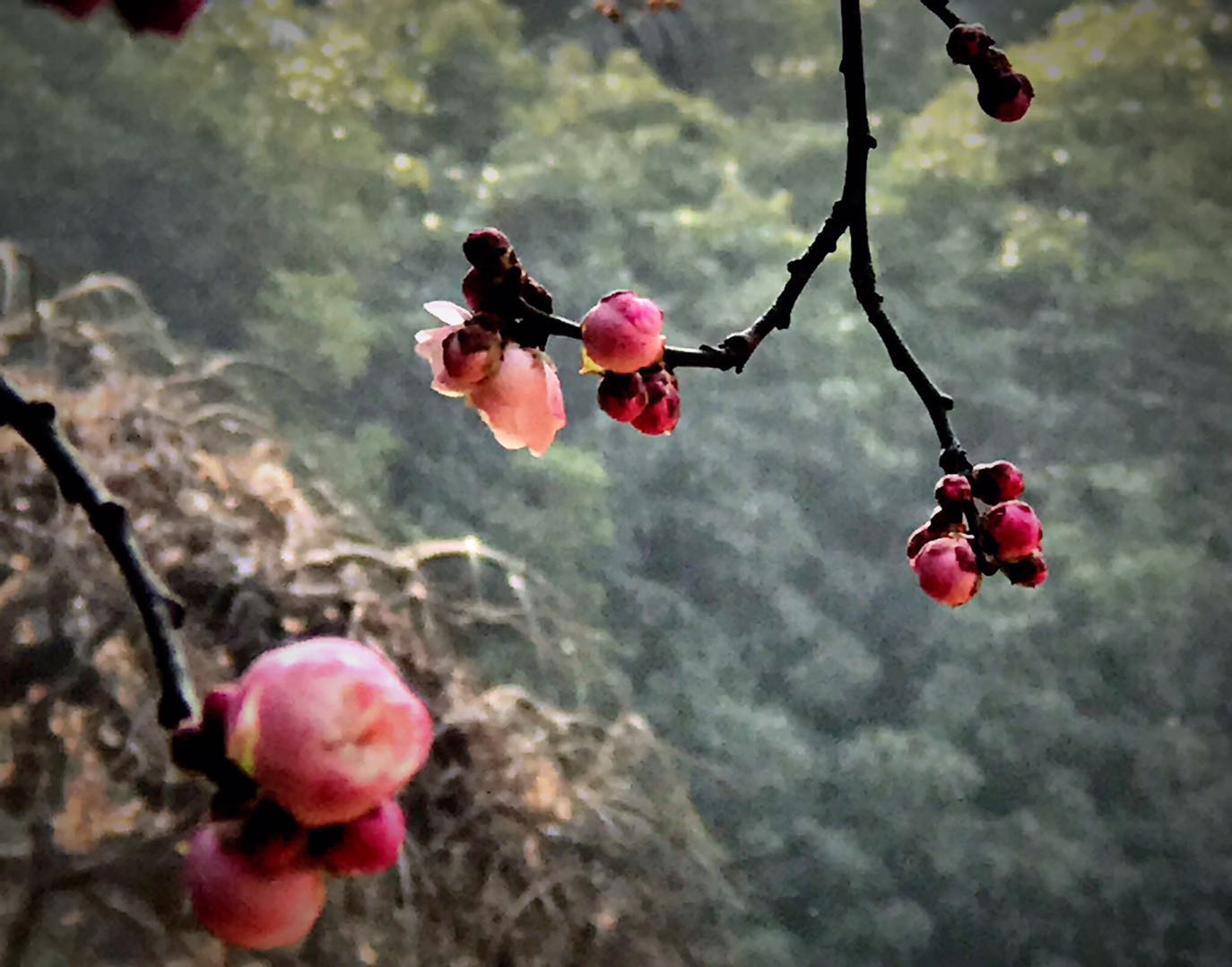 微信图片_20200209142214.jpg