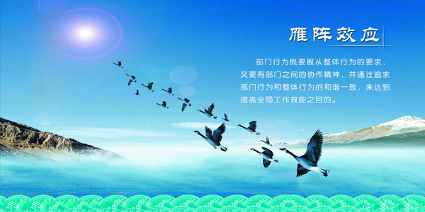 20160317104003794.jpg