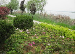 QQ截图20200223085617.png QQ截图20200223085617.png