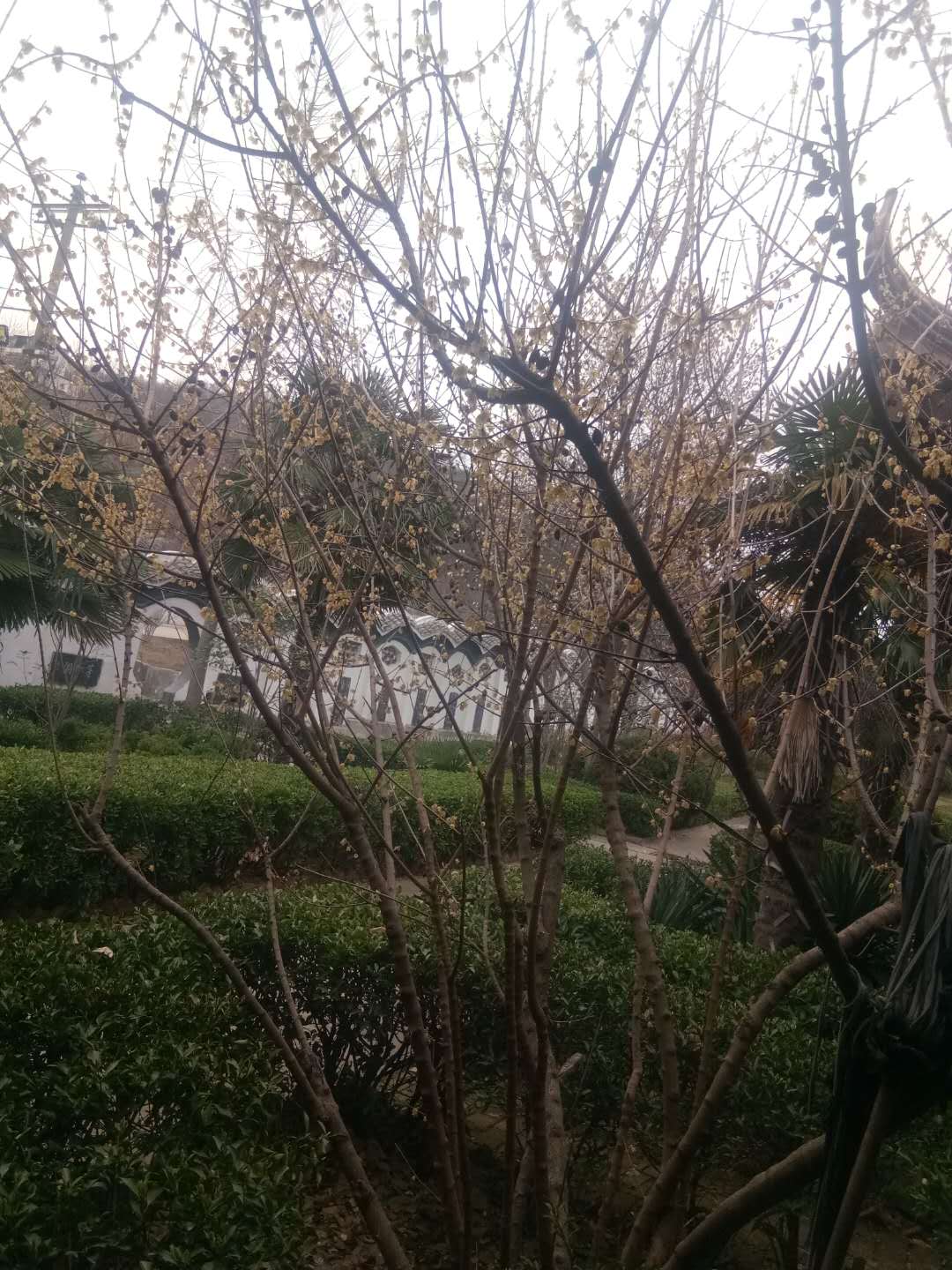 微信图片_20200224101113.jpg