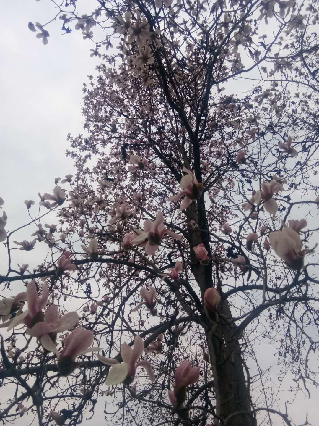 微信图片_20200224101144.jpg