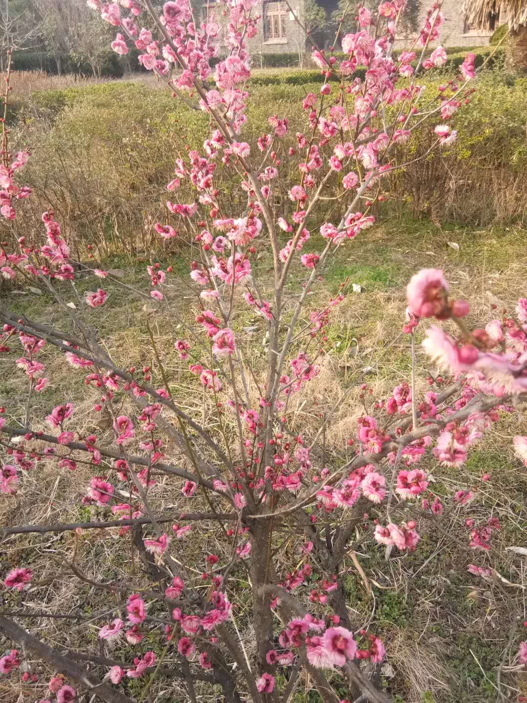 微信图片_20200224101151.jpg