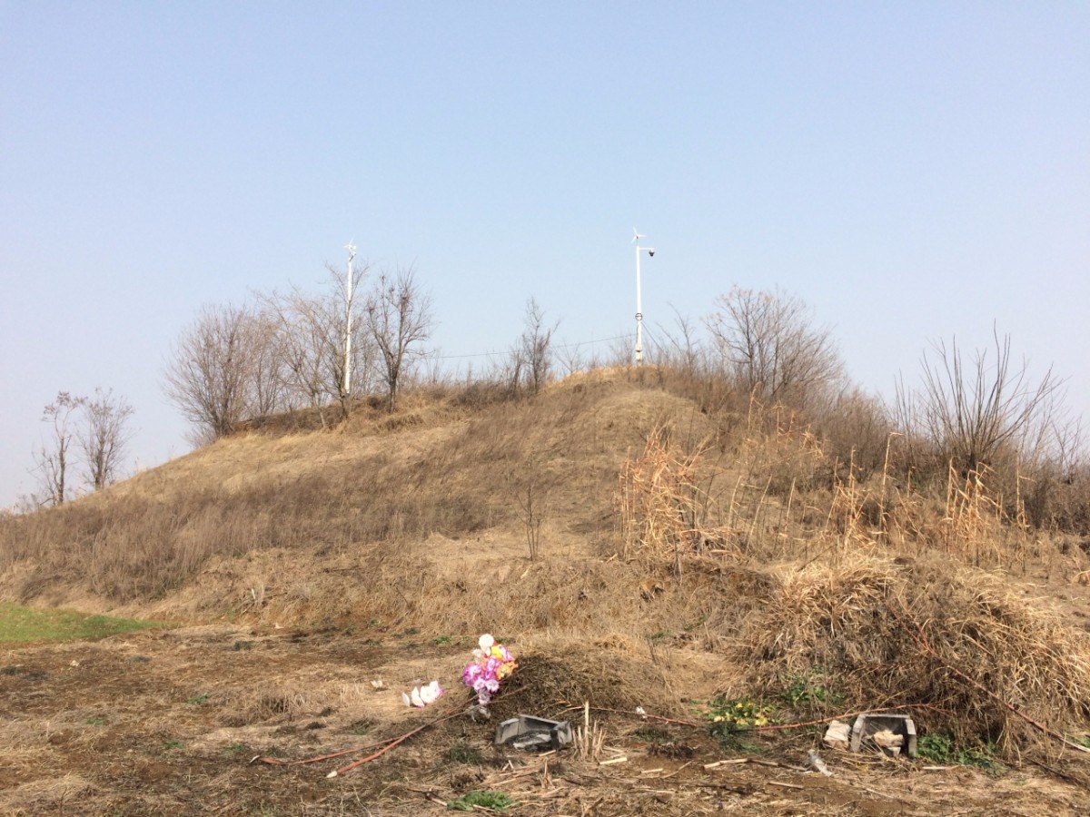 淮南市武王墩孤堆