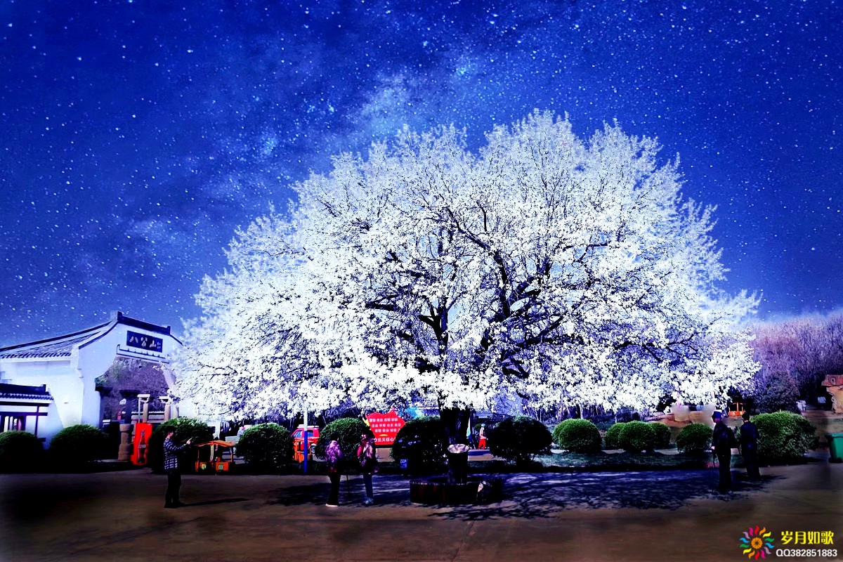 psc (1)_副本.jpg
