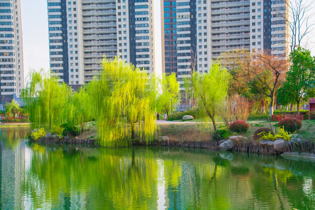 微信图片_20200324154926.jpg