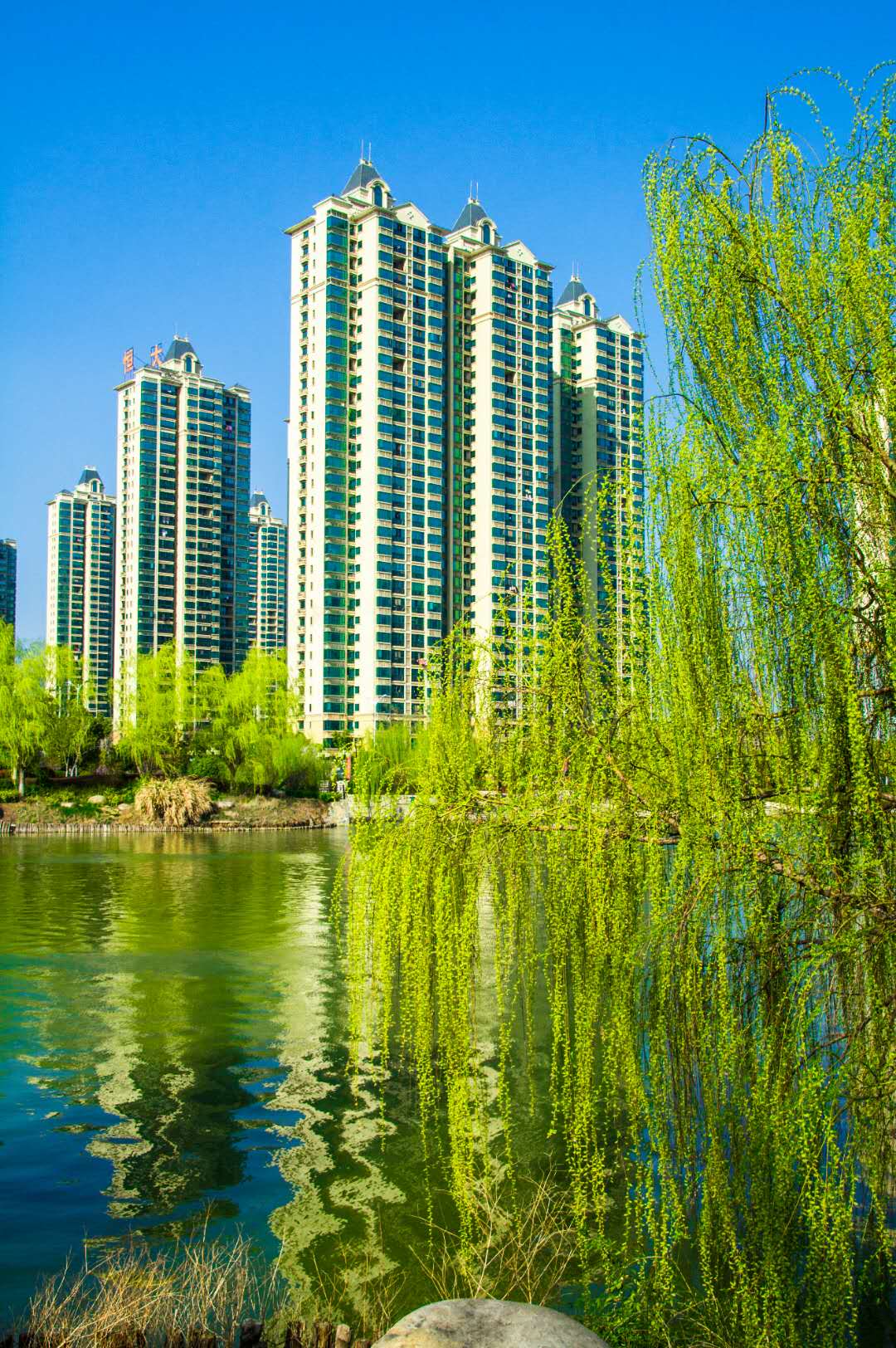 微信图片_20200324154914.jpg