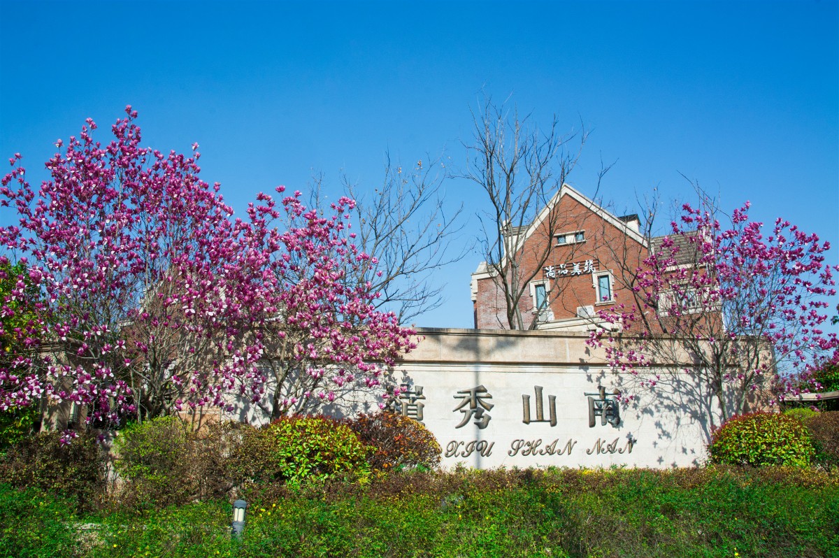 微信图片_20200324154828_副本.jpg