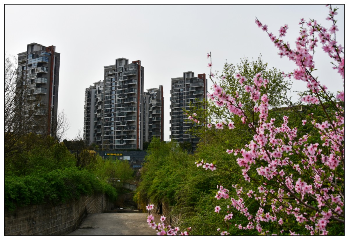 DSC_07622_wps图片.jpg