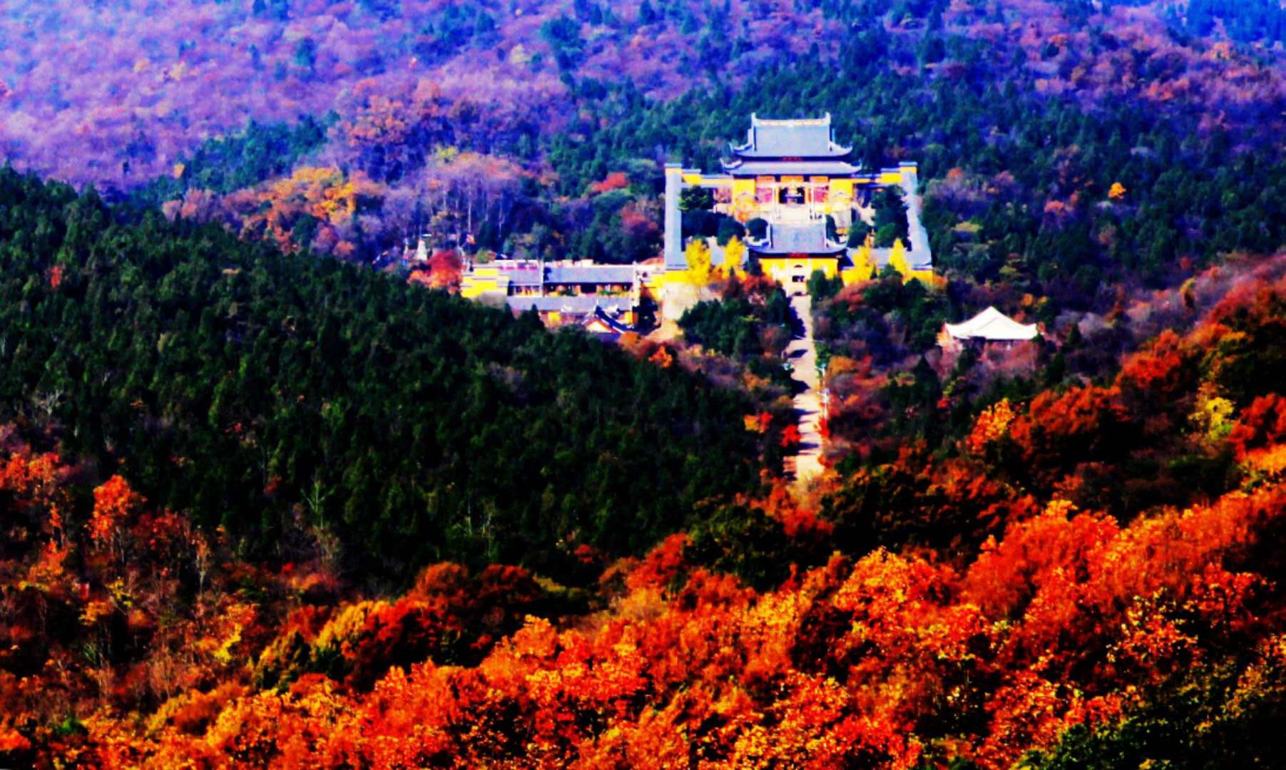 微信图片_20200417085214.jpg