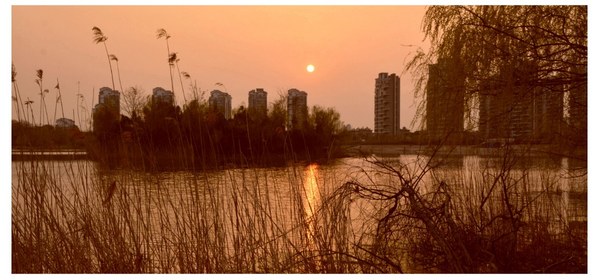 微信图片_20200519150341.jpg 微信图片_20200519150341.jpg