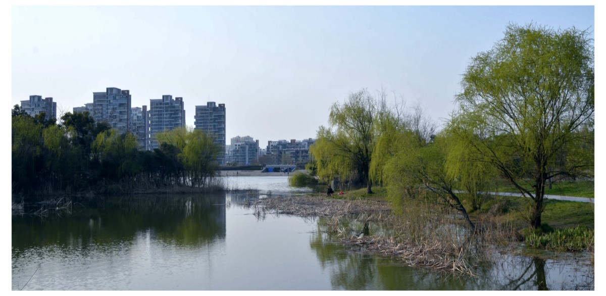 微信图片_20200527122407.jpg