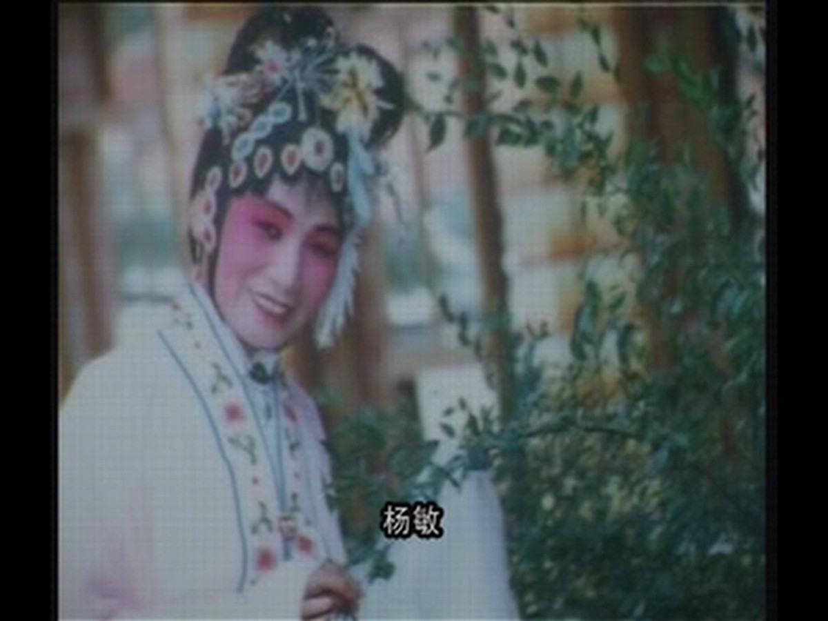 杨敏剧照.jpg