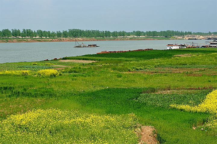 微信图片_20200528222018.jpg