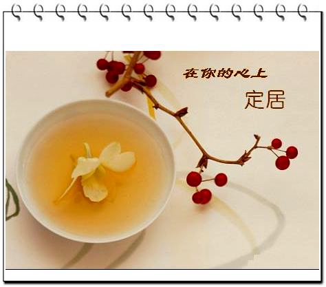 在你的心上定居（挂历）.jpg
