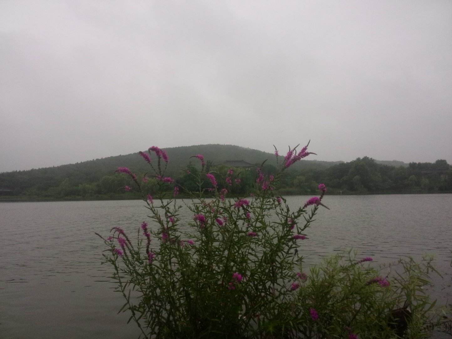 微信图片_20200705204341.jpg