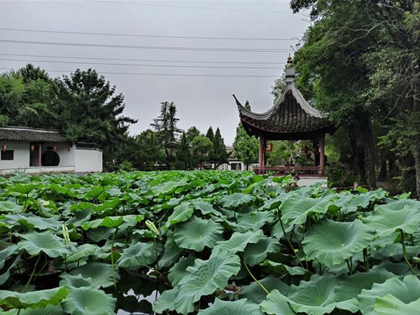 微信图片_20200705213751.jpg