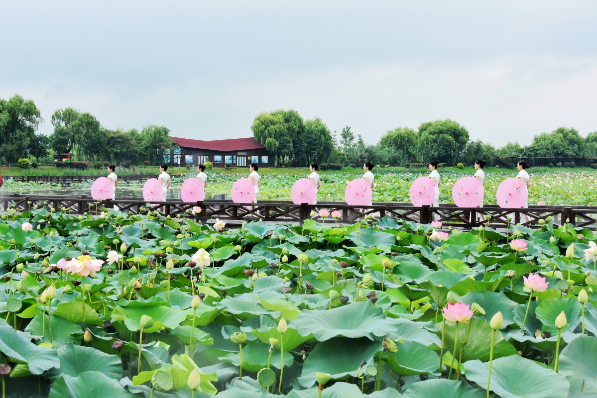 DSC_2241_wps图片.JPG