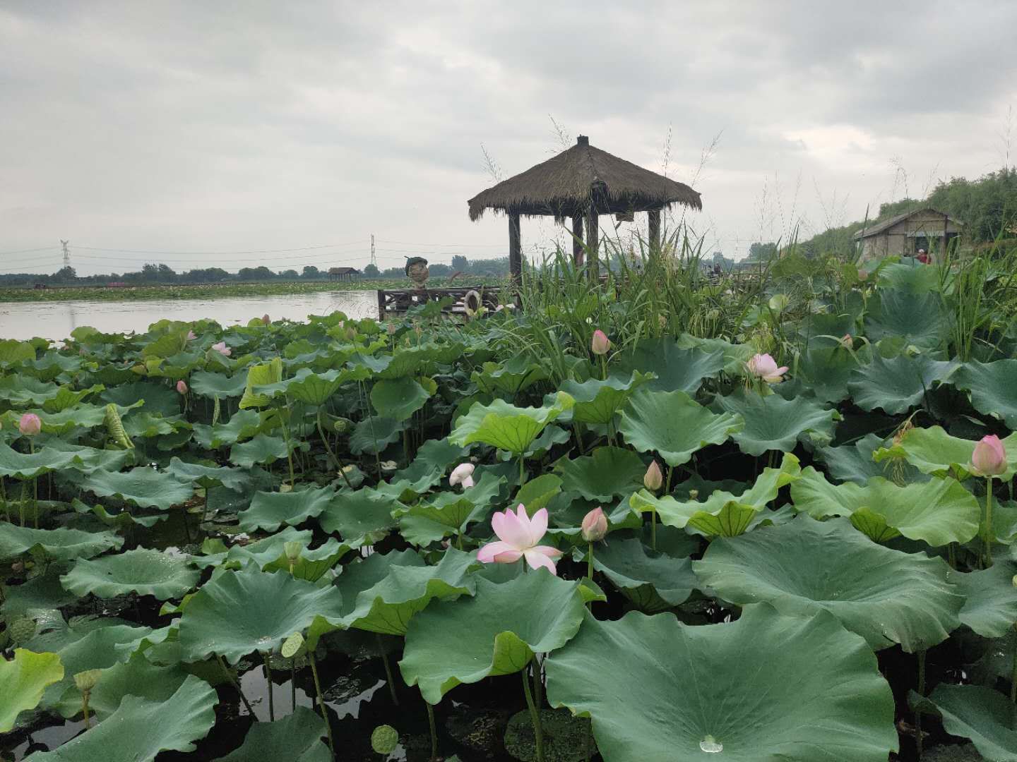 微信图片_20200717154833.jpg 微信图片_20200717154833.jpg