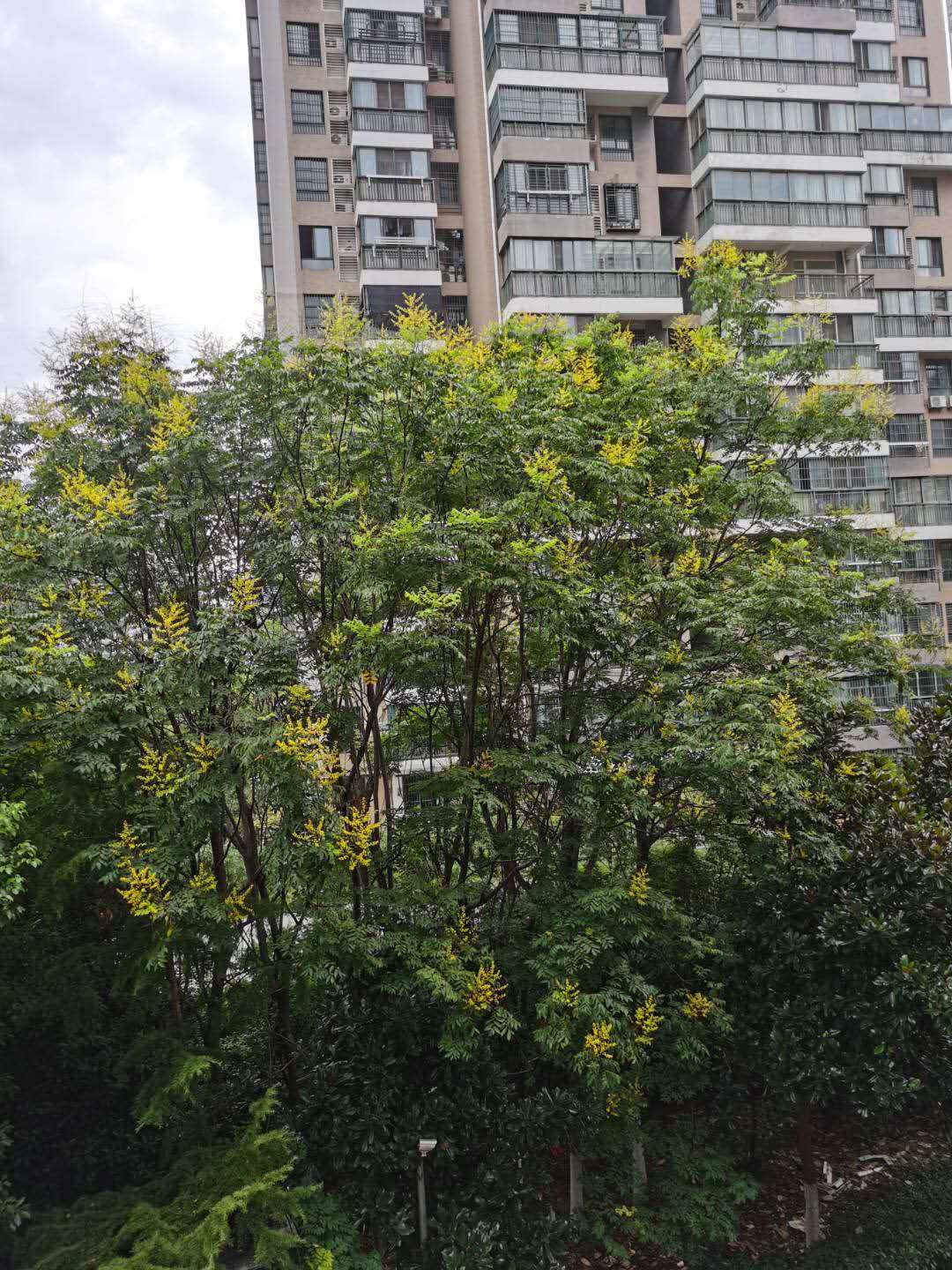 微信图片_20200815184442.jpg 微信图片_20200815184442.jpg
