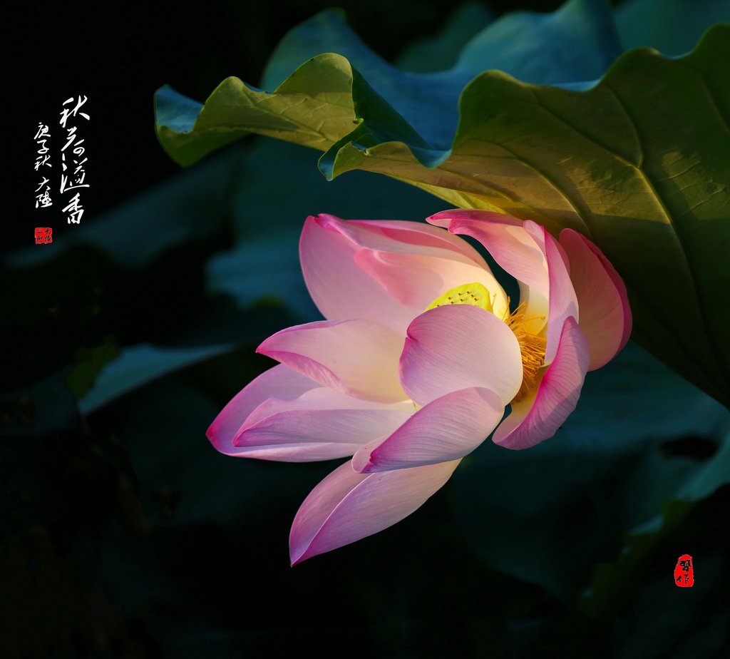 A17A1870_全景图1 - 副本 - 副本 - 副本_调整大小.jpg