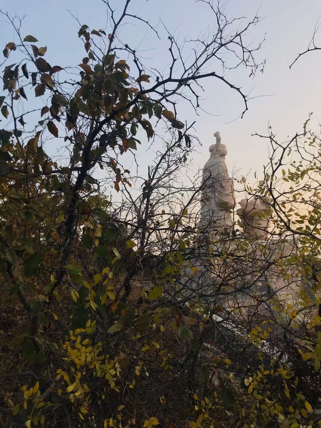 微信图片_2019111010220110.jpg 微信图片_2019111010220110.jpg