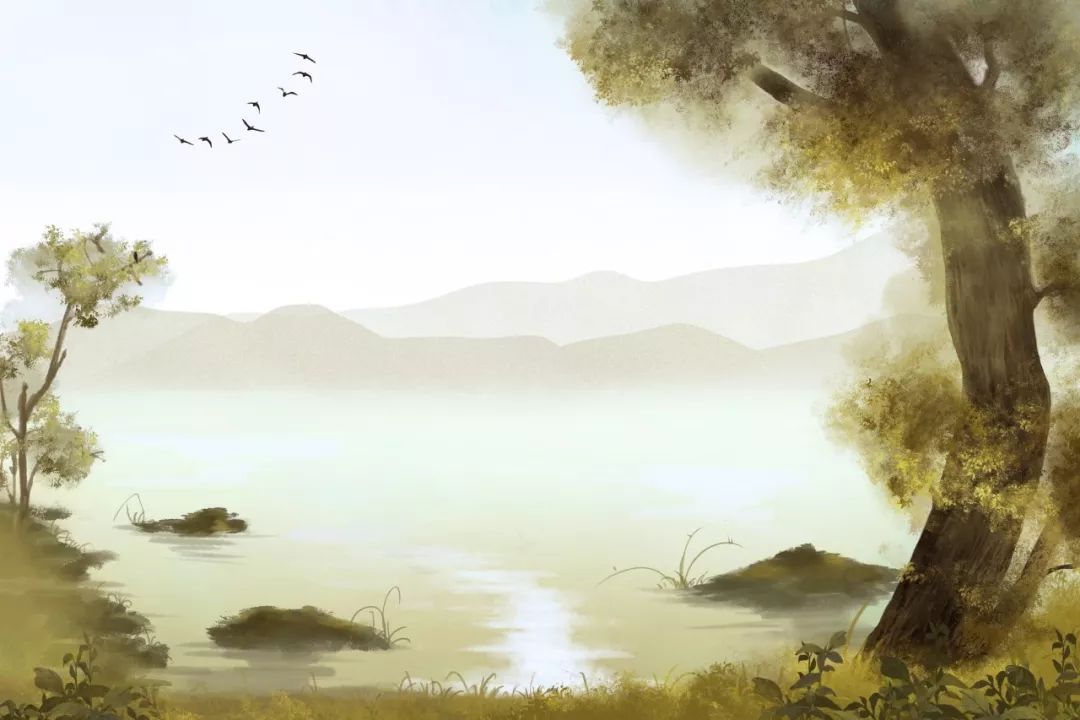 828d13a9b9024045a8023c06d01ab58d.jpeg