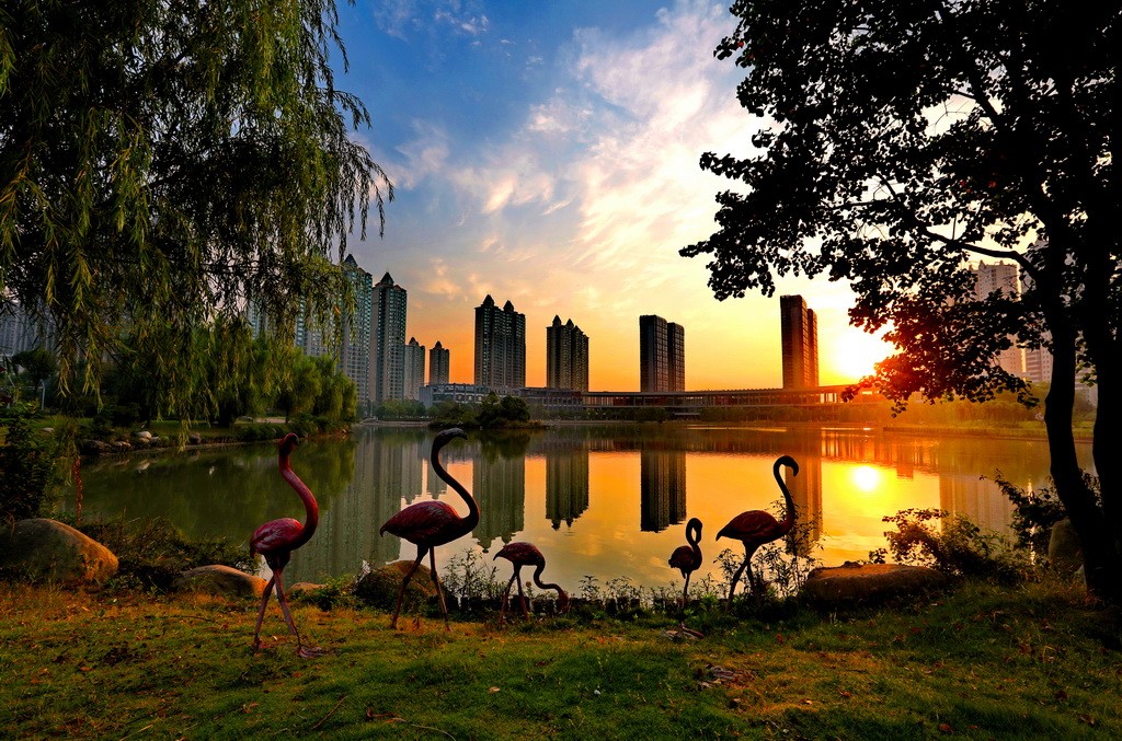 IMG_1478_调整大小.JPG