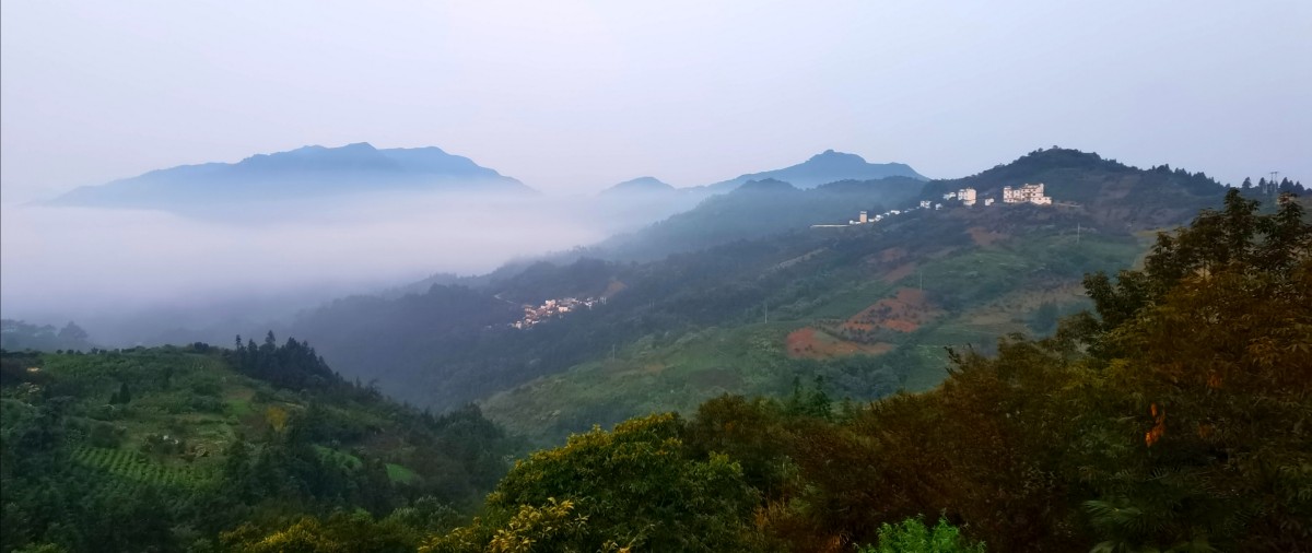 微信图片_20200914175319.jpg