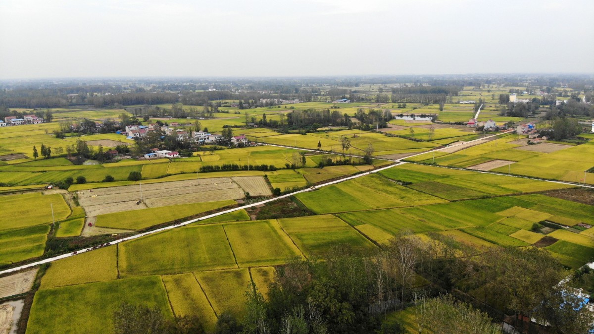 DJI_0093.JPG