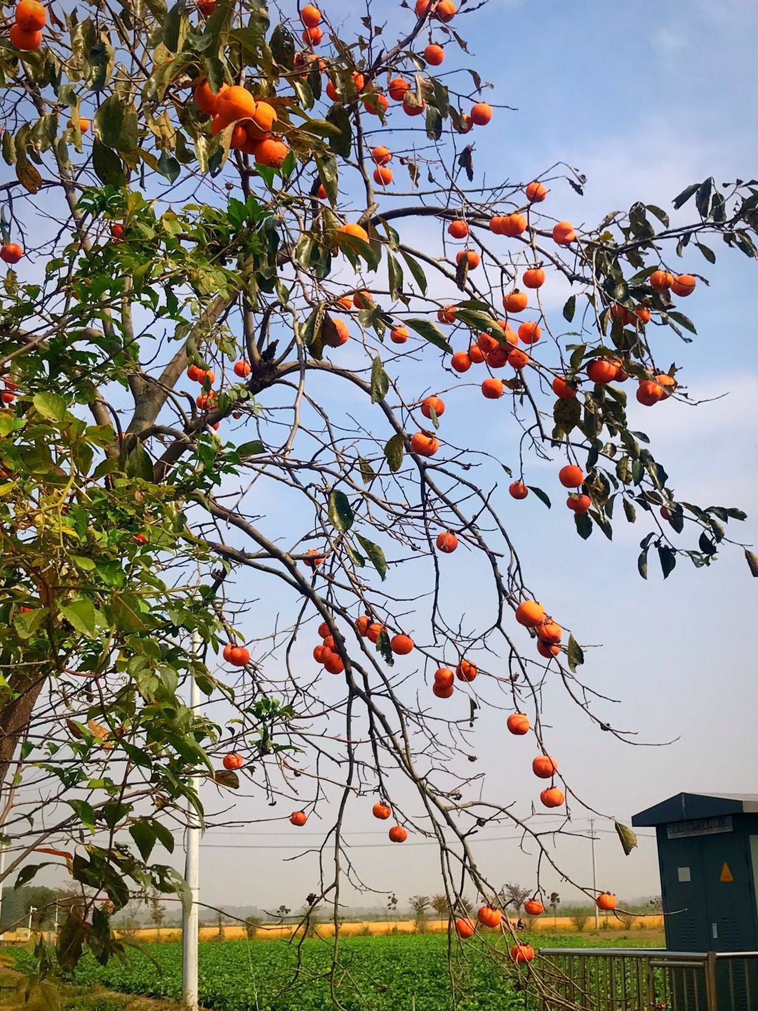 微信图片_20201022113816.jpg