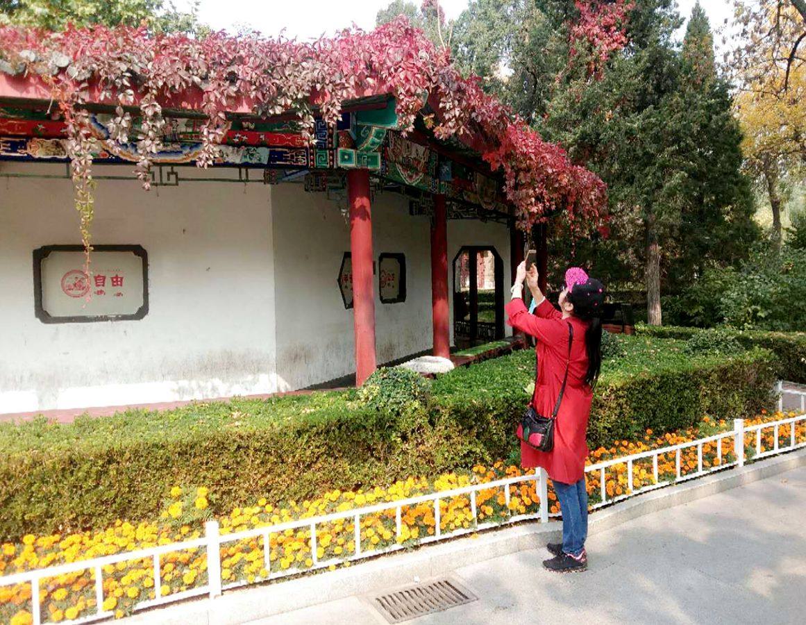 兰拍红叶很好.jpg