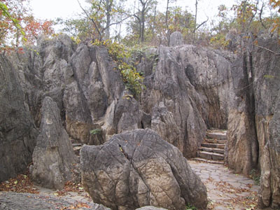 微信图片_20201110112833.jpg 微信图片_20201110112833.jpg