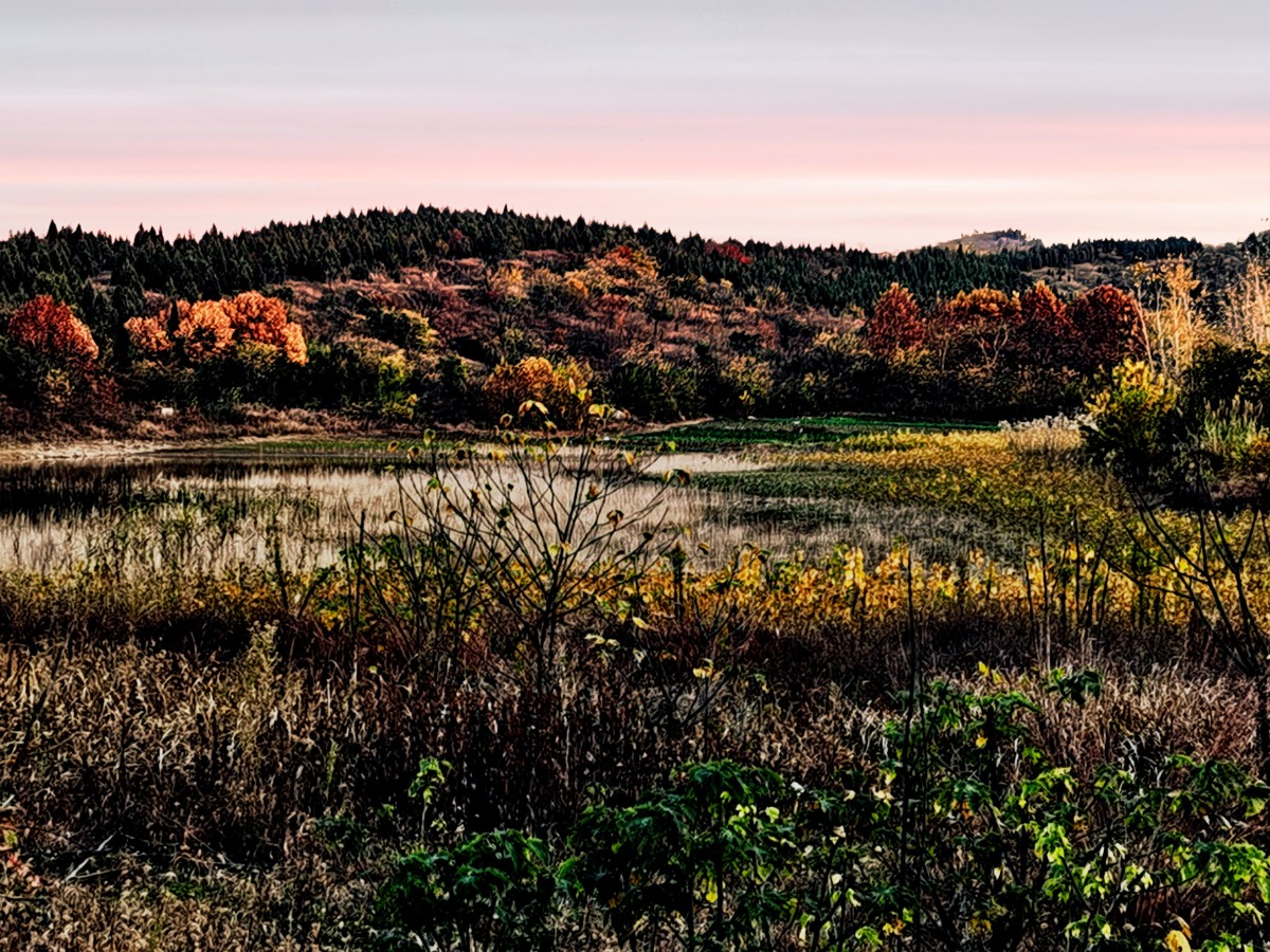IMG_20201112_170127-01_polarr.jpg