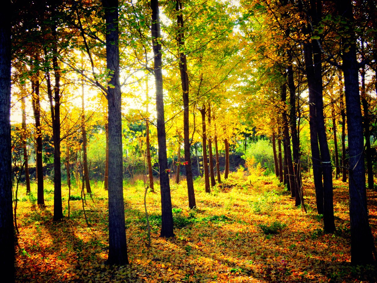 20201112155909_mix01.jpg