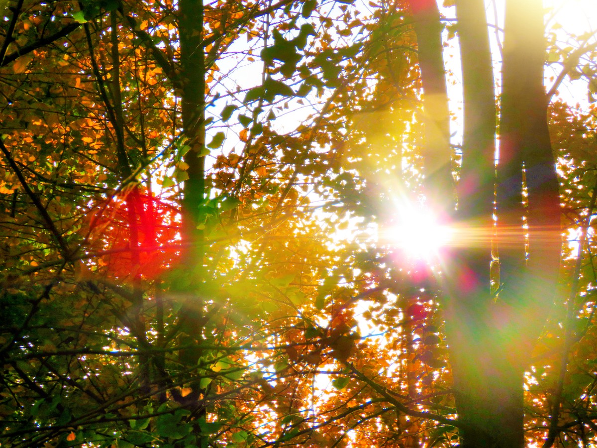 20201112160058_mix01.jpg