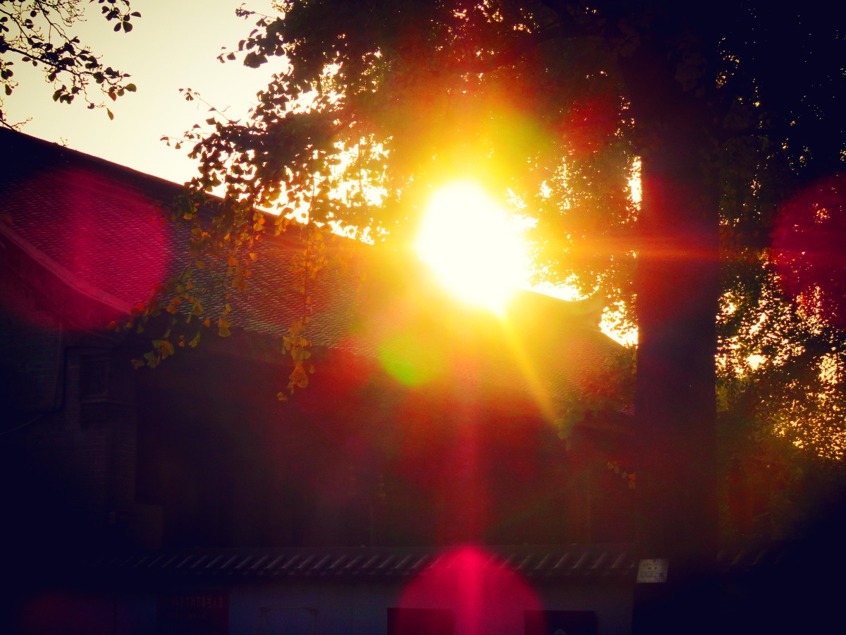 20201109163423_mix01.jpg