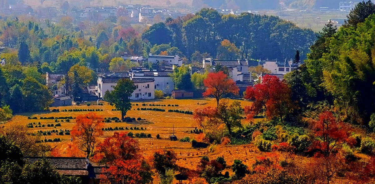 微信图片_20201116115732.jpg